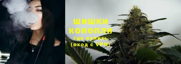 трава Алзамай